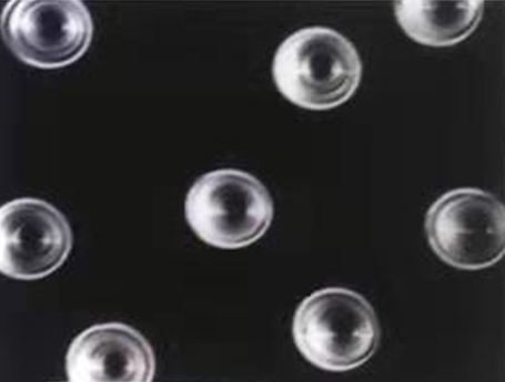 攻克“卡脖子”技術(shù)，鄰得膜如何用30年核孔膜研究打破海外壟斷？