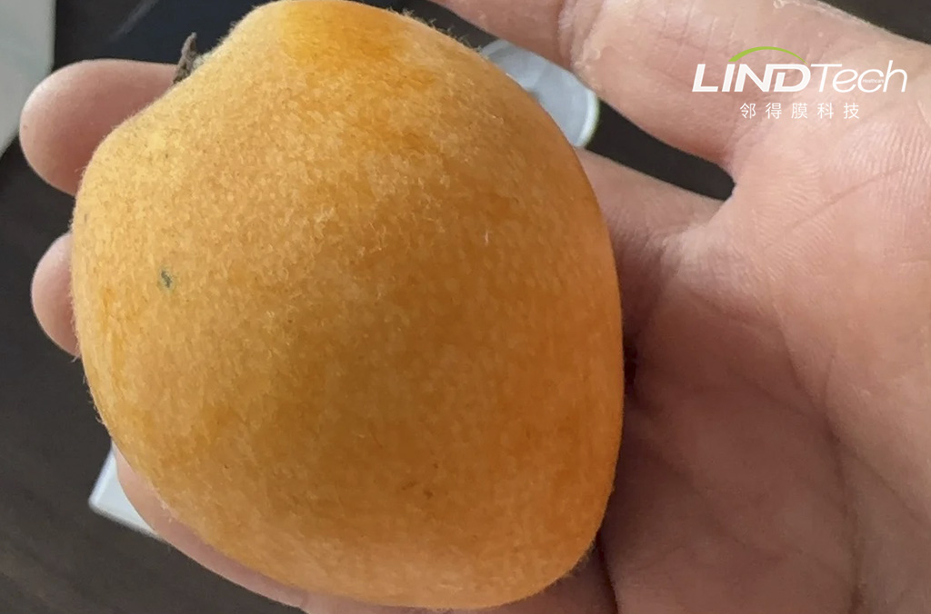 核孔膜～常溫物理保鮮自發(fā)氣調(diào)解決方案