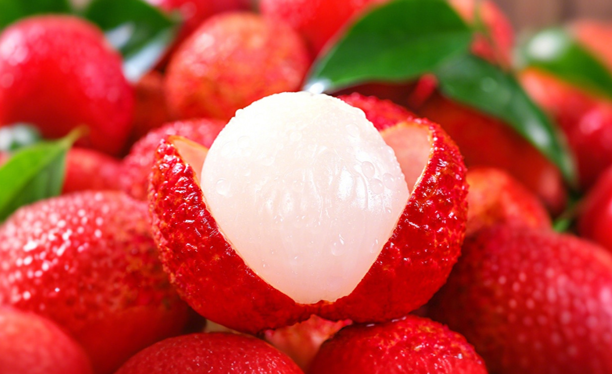 古今保鮮智慧的交響：從《長(zhǎng)安的荔枝》李善德到核孔膜技術(shù)的跨越