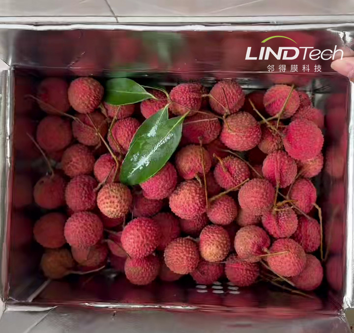 荔枝保鮮方法全解析：傳統(tǒng)與創(chuàng)新技術(shù)的對比與推薦