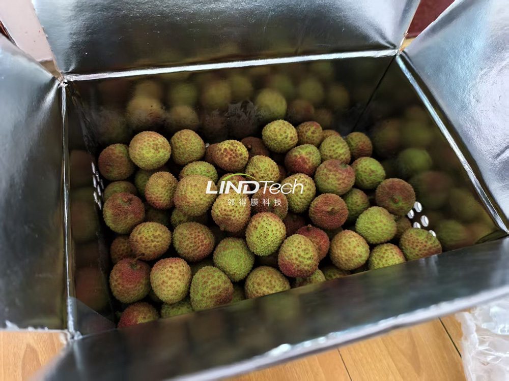 鄰得膜科技：創(chuàng)新常溫物理保鮮技術(shù)，破解荔枝保鮮難題