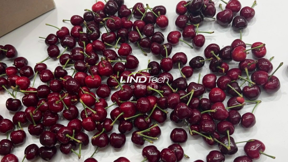 核孔膜保鮮箱：讓嬌嫩的甜櫻桃遠行無憂
